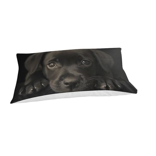 Housse de couette Labrador 2 pièces pour transformer facilement la décoration du lit