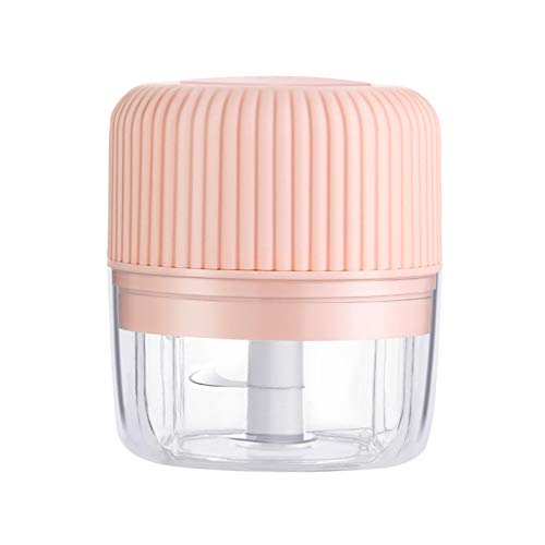 100 Ml / 250 Ml Knoblauch-Chopper Elektrischer Knoblauch-Fleischwolf Mini-Lebensmittel-Chopper-Mixer