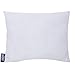 Wildkin Modern Nap Mat Comes with Back-up Removable Pillow (Wild Animals)