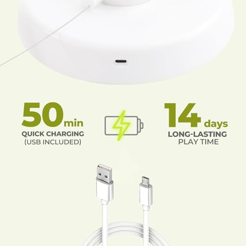 ALL-FOR-PAWS-2-in-1-Cat-Toys-Hide-N-Seek-Cat-Wand-Toy-Automatic-Kitten-Flutter-Toy-with-Butterfly-Spinner-Cat-Moving-Feather-Toy-for-Indoor-Cats-USB-Rechargeable - Cucciolini Doodles ALL-FOR-PAWS-2-in-1-Cat-Toys-Hide-N-Seek-Cat-Wand-Toy-Automatic-Kitten-Flutter-Toy-with-Butterfly-Spinner-Cat-Moving-Feather-Toy-for-Indoor-Cats-USB-Rechargeable