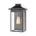 Lamplighter 1-Light Sconce in Matte Black with Seedy Glass