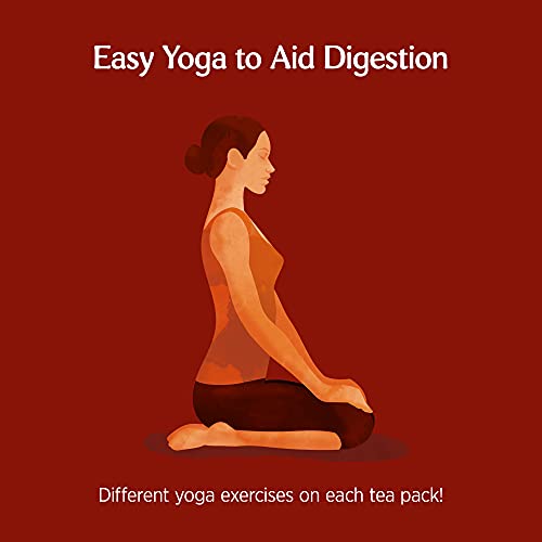 Yogi Tea, Stomach Ease, Organic Herbal Tea, Naturally Caffeine Free, Blend of Cardamom, Fennel and Ginger, 6 Packs x 17 Tea Bags (102 Teabags Total)