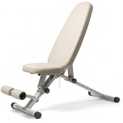 WeGym Fitness Bench, Adjustable, Collapsible, Comfortable, and Luxurious Home Gym Bench for Strength Training
