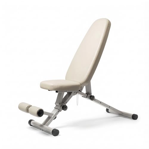 WeGym Fitness Bench, Adjustable, Collapsible, Comfortable, and Luxurious Home Gym Bench for Strength Training