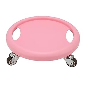 Abs Fitness Trainer, Abdominale Core Coaster Strength Workout Trainer, 4 Rollers Disc Stille Gladmakende Glijdende Abdominale Workout Slider Disc