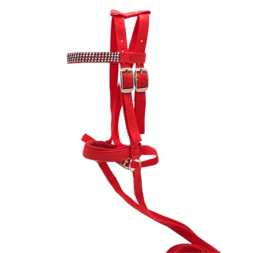 PFIFF 103126 Lotty Bridon pour Chevaux de Jeu et de