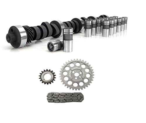 Stock replacement SB Chevy 350 1969-1980 camshaft & lifters ...