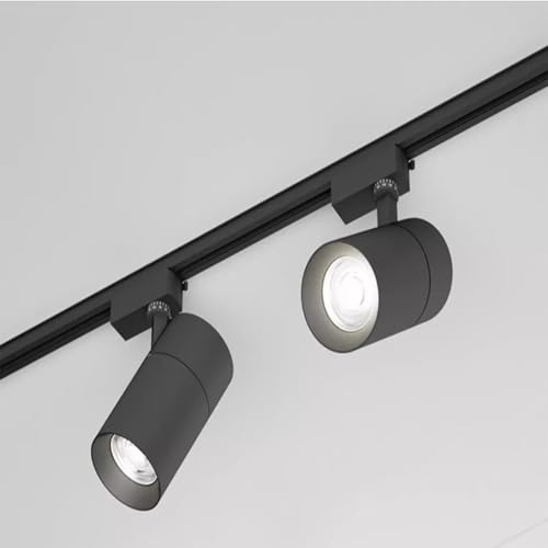 YQSLYQS 30W LED Track Lighting Head Spot Ceiling Retail Light, Ice Blue LED Lamp Black Track Light Rotatable LED Ceiling Spotlight for Kitchen, Living Room, Bedroom