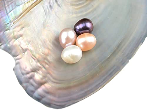 NIGHT-GRING 10 Pc Freshwater Cultured Pearl Oyster Oval Pearls with White/Pink/Purple/Black, Birthday Gifts(7.5-8Mm)