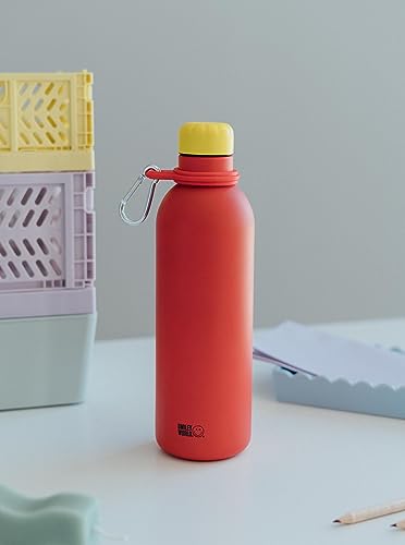 Grupo Erik Metal Water Bottle 500ml / 17oz - Smiley, 500 ml - Image 4