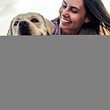 Zoom IMG-2 penna illuminante per cani la Zoom IMG-2 penna illuminante per cani la