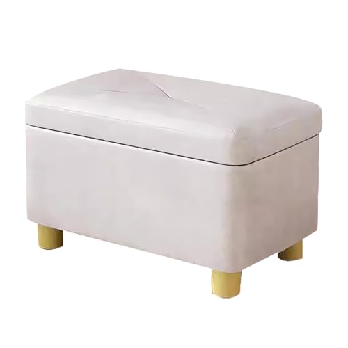 ZPRYZHD Otomano con Puff Almacenaje Taburete