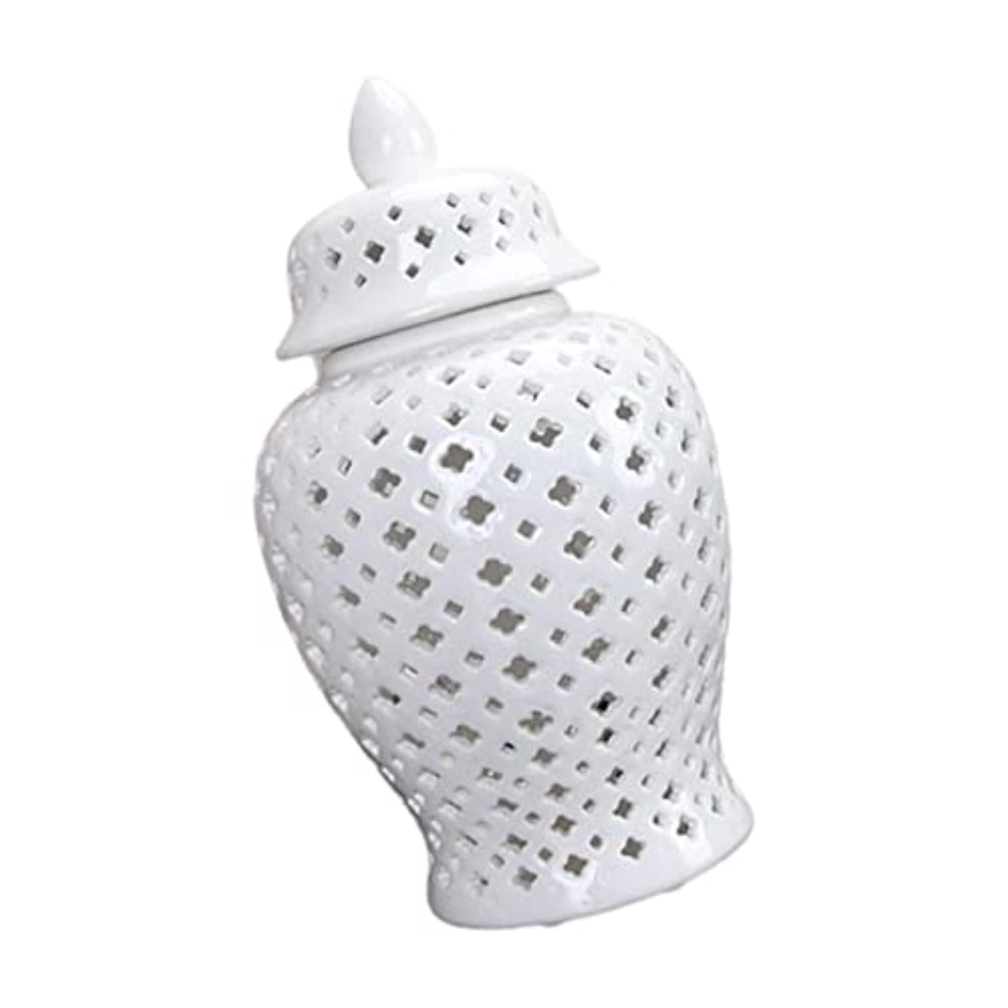 Ceramic Ginger Jar Vase with Lid Decor Storage