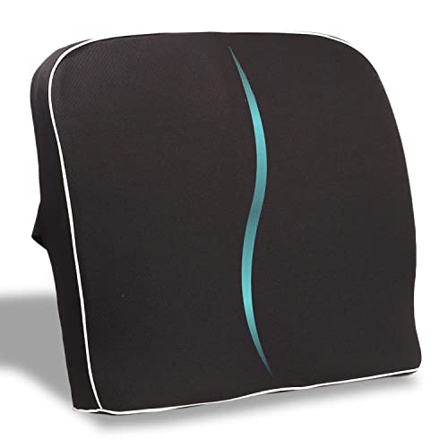 Image of ZAXTY Back Rest Lumbar Support for Chair Back Pillow for Car Best Use for Office Home Travel Cars Seat Provides Low Back Support Improves Posture Provides Comfort |Black|Universal