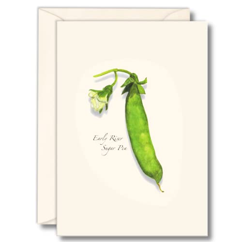 Image of Earth Sky + Water - Heirloom Pea Notecard Set - 8 Blank Cards with Envelopes