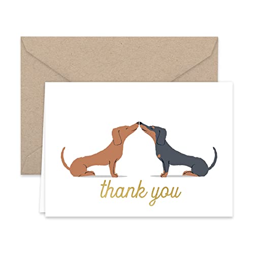 Paper Frenzy Dogs Puppies Thank You Note Card Collection 25 Pack With Kraft Envelopes #TOP3