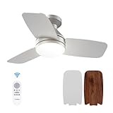 Amico Ceiling Fans with Lights, 30 Inch Low Profile Ceiling Fan with Light and Remote Control, Flush Mount, Reversible, 3CCT, Dimmable, Noiseless, Silver Ceiling Fan for Bedroom, Indoor/Outdoor Use