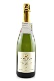 Blanquette de Limoux Tradition Brut Antech Limoux