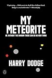 My Meteorite: Or, Without the Random There Can Be No New Thing