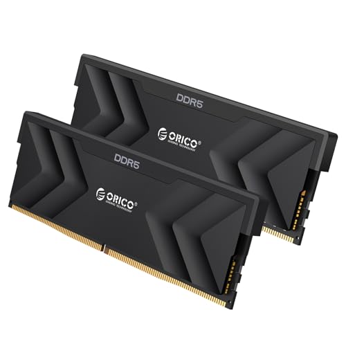 Image of ORICO Raceline Champion DDR5 RAM 6000MHz 32GB (2x16GB) CL30-38-38-76 Low Latency, ON-die ECC Unbuffered DIMM，Dual Platform Overclocking, Enhanced Gaming - Black