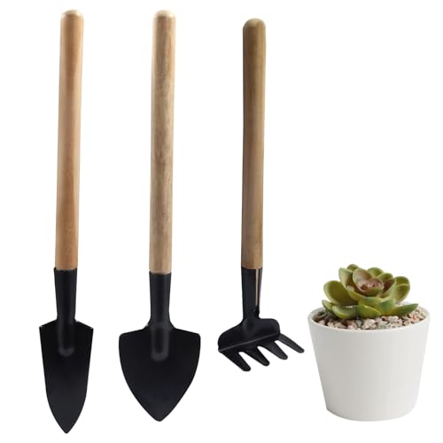 Set de 3 Herramientas Mini para Jardín de Hierro miniatura 1