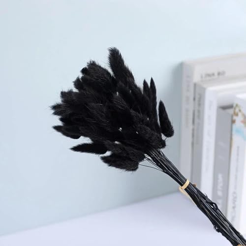 Pampas Grass Decor Tall 50Pcs 45 cm Flores Secas Negras miniatura 1
