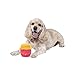 Squishmallows Chew Mees by Original Pet Toy 5-Pack