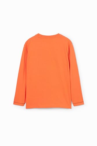 Desigual Boys' T-Shirt2