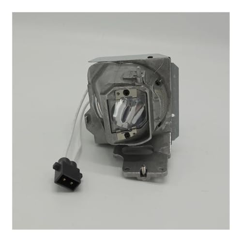 Ampoule de projecteur 101 idéale pour les projections en classe et les séries IN130ST