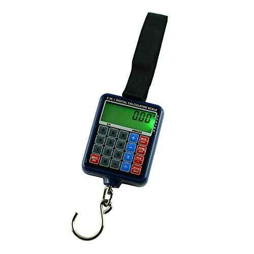 ビカクシダ ステマリア コルク付け2 ビカクシダ ステマリア コルク付け