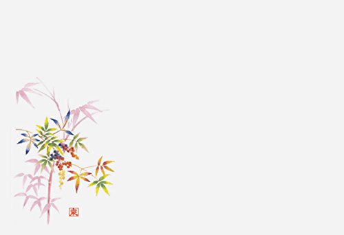 򎽊 ㎿}bg 3e[u}bg Ԗ؃V[Y VV 100 B-25-71