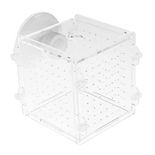 HANABASS p  c {b B  Ɏ t Ő| ݌v