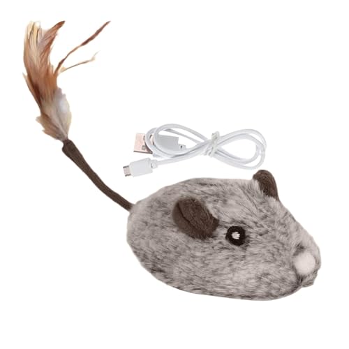 Lp}EX,L}EX | dqqL}EXʂ݁AtFU[e[t - USB[dd}EXA܂͉O^p̃X}[gZVOړL