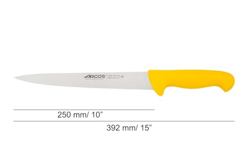 Couteau à graver Arcos 2900 en acier Nitrum haute performance 25cm