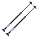 2 Pcs Rear Liftgate Hatch Lift Supports Struts Shocks 6102 for Lexus RX300 1999-2003