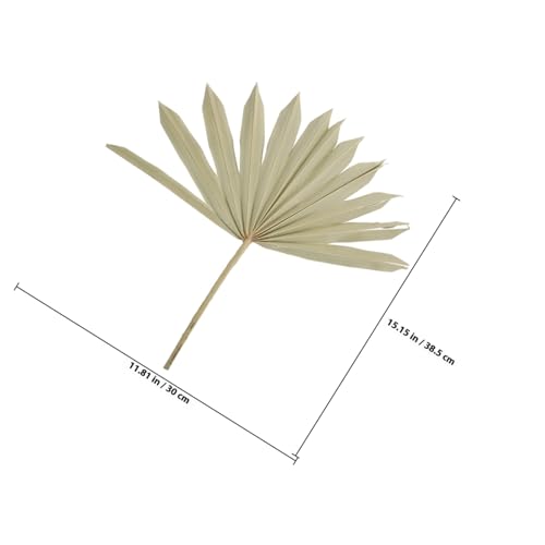 Adorno Natural de Hoja de Palma Secada para Decoración miniatura 2