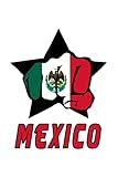  Mexiko Flaggen Notizbuch: Schönes Mexiko Flaggen Notizbuch mit 120 karierten Seiten im A5 Format