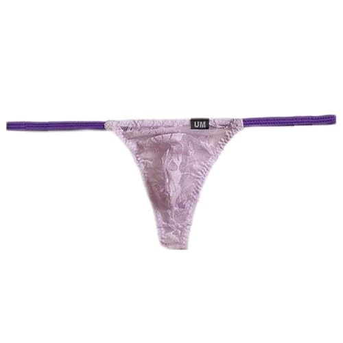 Men's Low Rise Lace Sexy Briefs Sheer Mesh Bikini Briefs T-Back G-string Underwear3