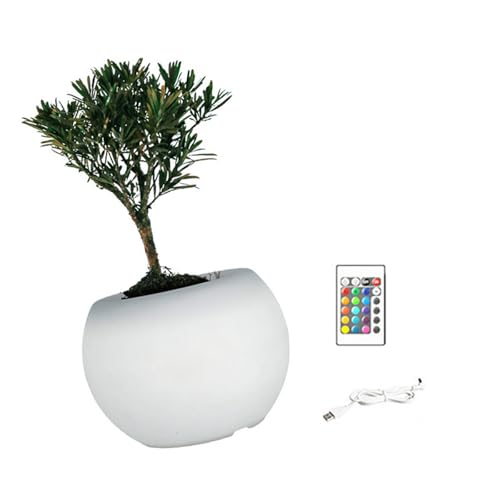 ZYMIADOU Macetas LED que cambian de color