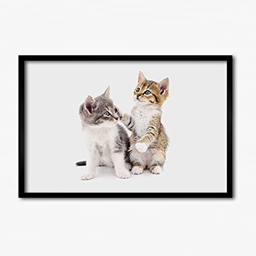 Tableau photo Deux Petits Czaty Tulup cadre MDF 60x40 cm pour salon