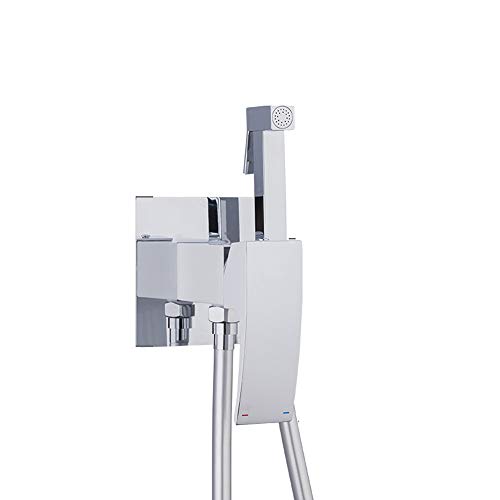 Pulvérisateur de bidet chromé pour soulager les irritations et laver les WC