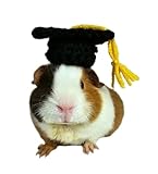 Crochet Graduation Cap for Guinea Pigs, Bunnies, Hamsters, Chinchillas, and Other Small Pets/Small Handmade Accessories for Pets