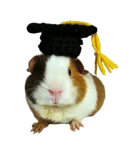 Crochet Graduation Cap for Guinea Pigs, Bunnies, Hamsters, Chinchillas, and Other Small Pets/Small Handmade Accessories for Pets