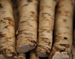 Horseradish Root/Thong WPC Prins Quality Bulbs & Tubers Vegetables Pack x2