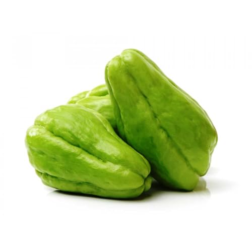 Fresh Chow Chow Vegetable I Fresh Chayote Squash I Pack of 3