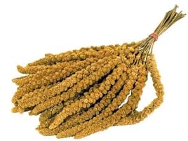 mijo chino 15 KG