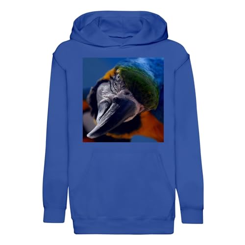 Sweat à capuche enfant oiseau perroquet ara bleu idéal pour la cour de récréation et le sport