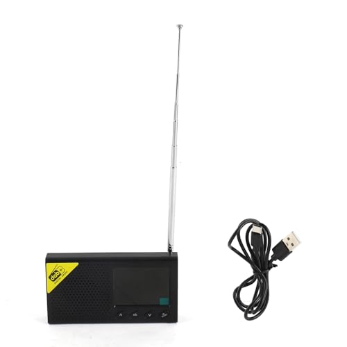 Radio DAB FM de voyage pour écouter votre musique en plein air