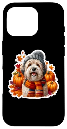 H H `xbgeA   l pvL Be[W X}zP[X iPhone 16 Pro p