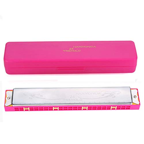 YLiansong-home Harmonica C Key 10 Loch 20 Skala Harmonica C Key Mundharmonika Tonart C 24 Löcher mit for Case Freunde Erwachsene Kinder Geschenk Mit Geschenken für Anfänger Studenten und Kinder Cover
